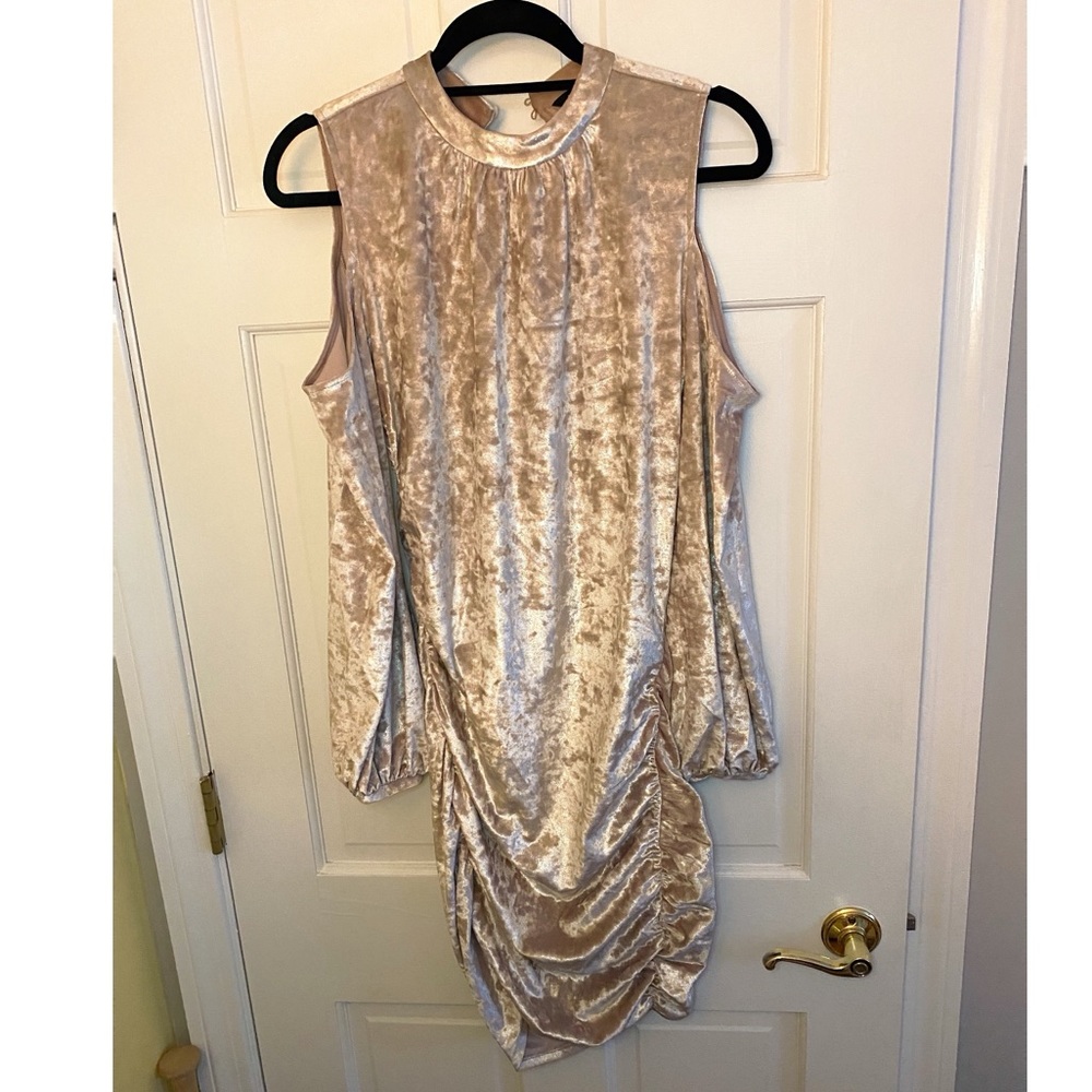 Express Long Sleeved Blush Pink Mini Dress